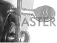 (image for) Caster; Swivel; 1-7/16" x 1-11/16"; Polyolefin; Plate (2-5/8"x3-3/4"; holes: 1-3/4"x2-3/4" slots to 3"; 5/16" bolt); Zinc; Plain bore; 300#; Thumb Screw Brake (Item #62847)